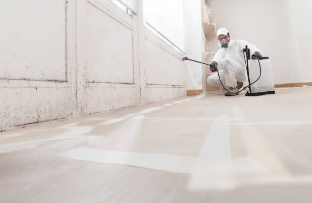 24/7 Emergency Mold Remediation experts in Markleton, PA